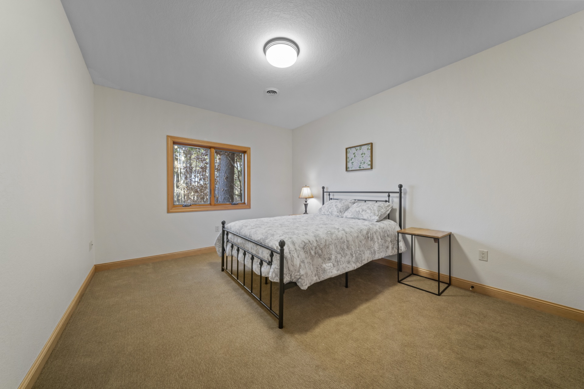 Additional lower level bedroom with ample closet space